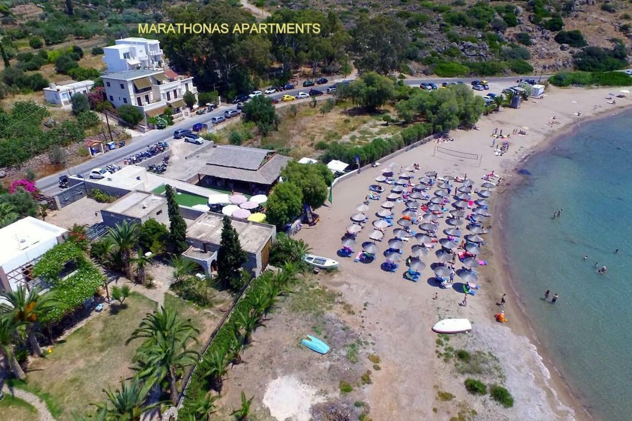 Apartment With Sea View And Balcony 60M From Beach Aegina Eksteriør bilde